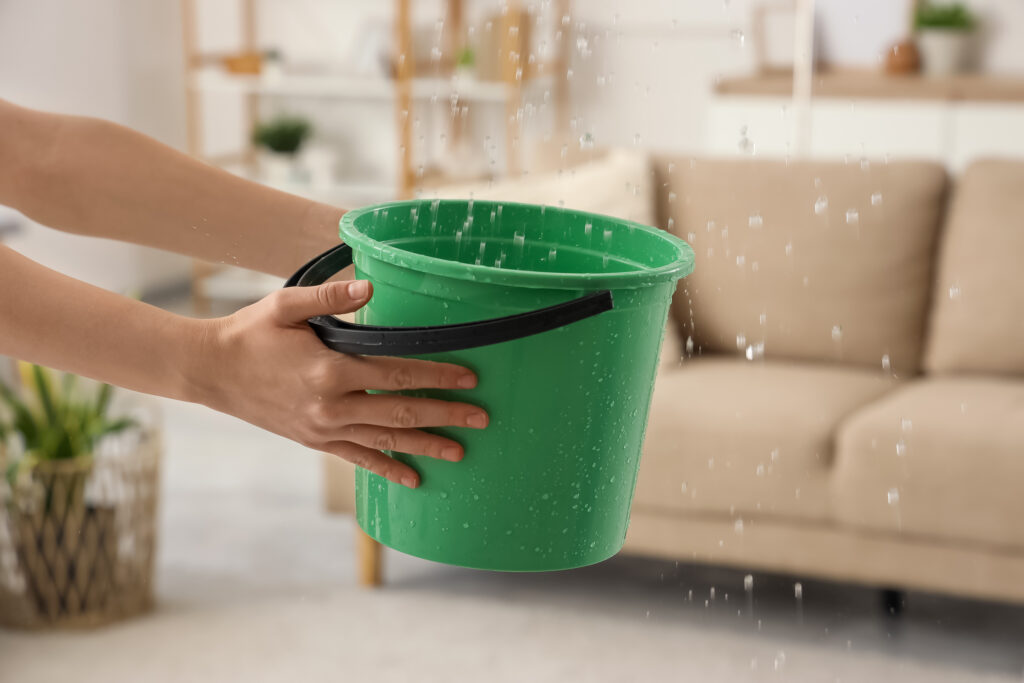 Female hands holding bucket under leaking water in living room. Flood concept
