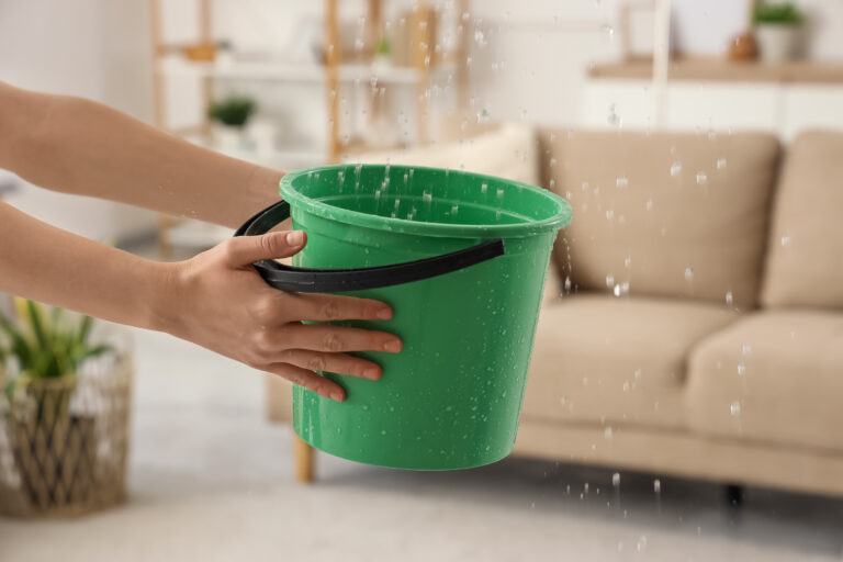 Female hands holding bucket under leaking water in living room. Flood concept